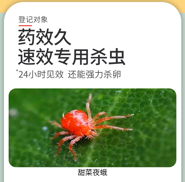 阿维螺螨酯红白蜘蛛专用药大棚蔬菜瓜果树农用药高效杀螨虫剂100ml