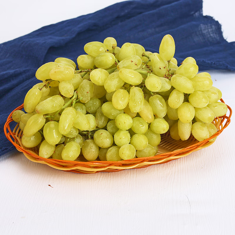 媚调 新疆珍珠无籽青提斤装当季新鲜无核白提子时令孕妇水果 斤 水果