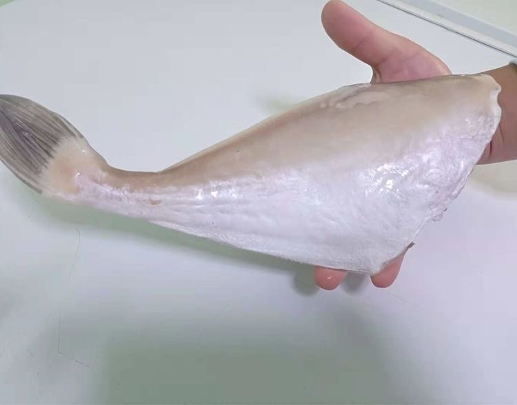 单冻大号中号耗儿鱼带冰扒皮鱼海鲜新鲜马面鱼到货批次不一样鱼的条数