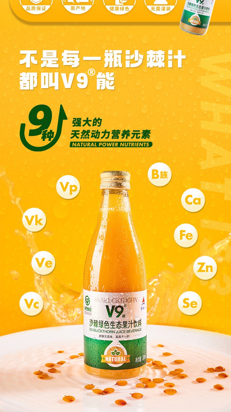 300ml×12瓶 宇航人v9沙棘汁原浆生态果汁绿色食品鲜果风味饮料 芒果