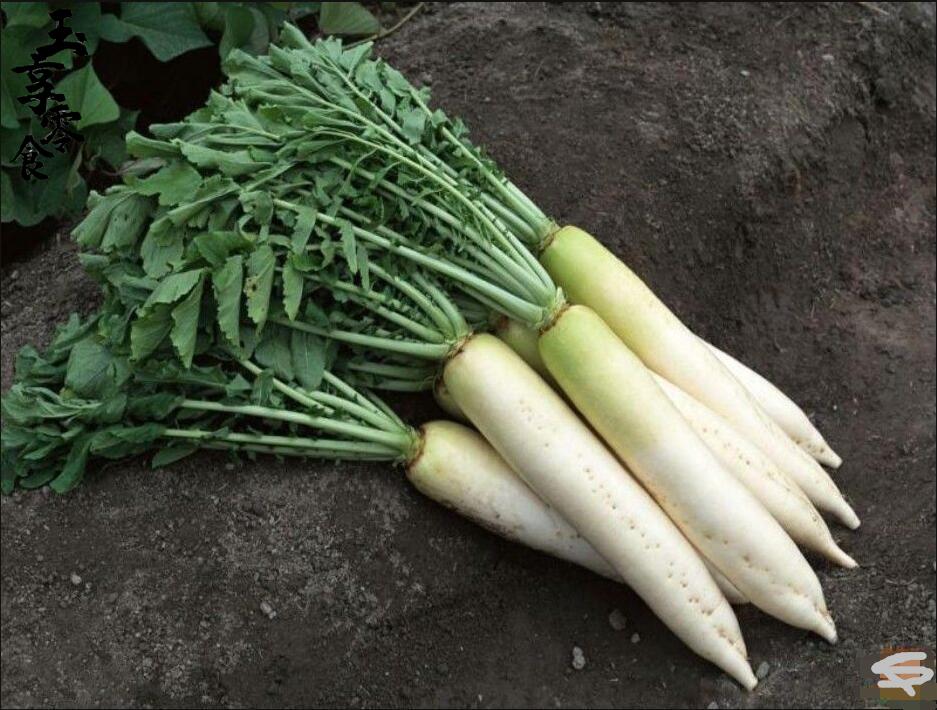 萝卜叶干菜萝卜樱子缨子干菜新罗卜苗500g农家自晒白萝卜叶子100g