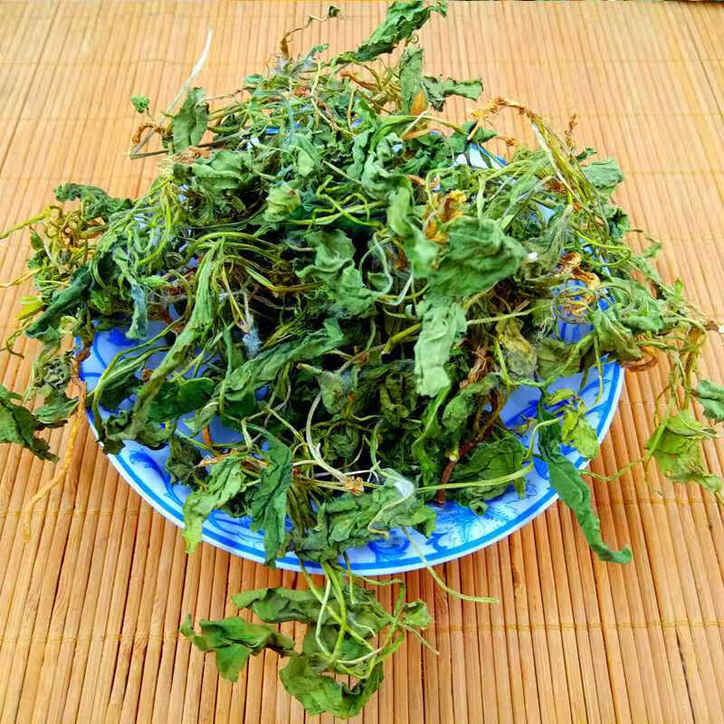 铧头草中药材秦岭铧头草药材新鲜干货犁头草铧头草