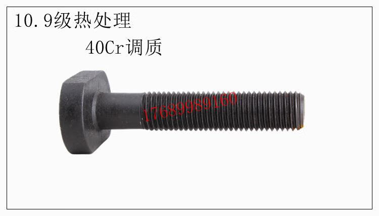 01562cdaf69cdfe3.jpg