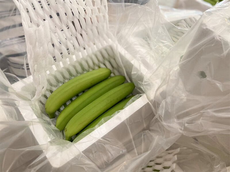 广西威廉斯青皮香蕉软糯香甜当季新鲜香蕉现摘现发整箱 高原甜香蕉