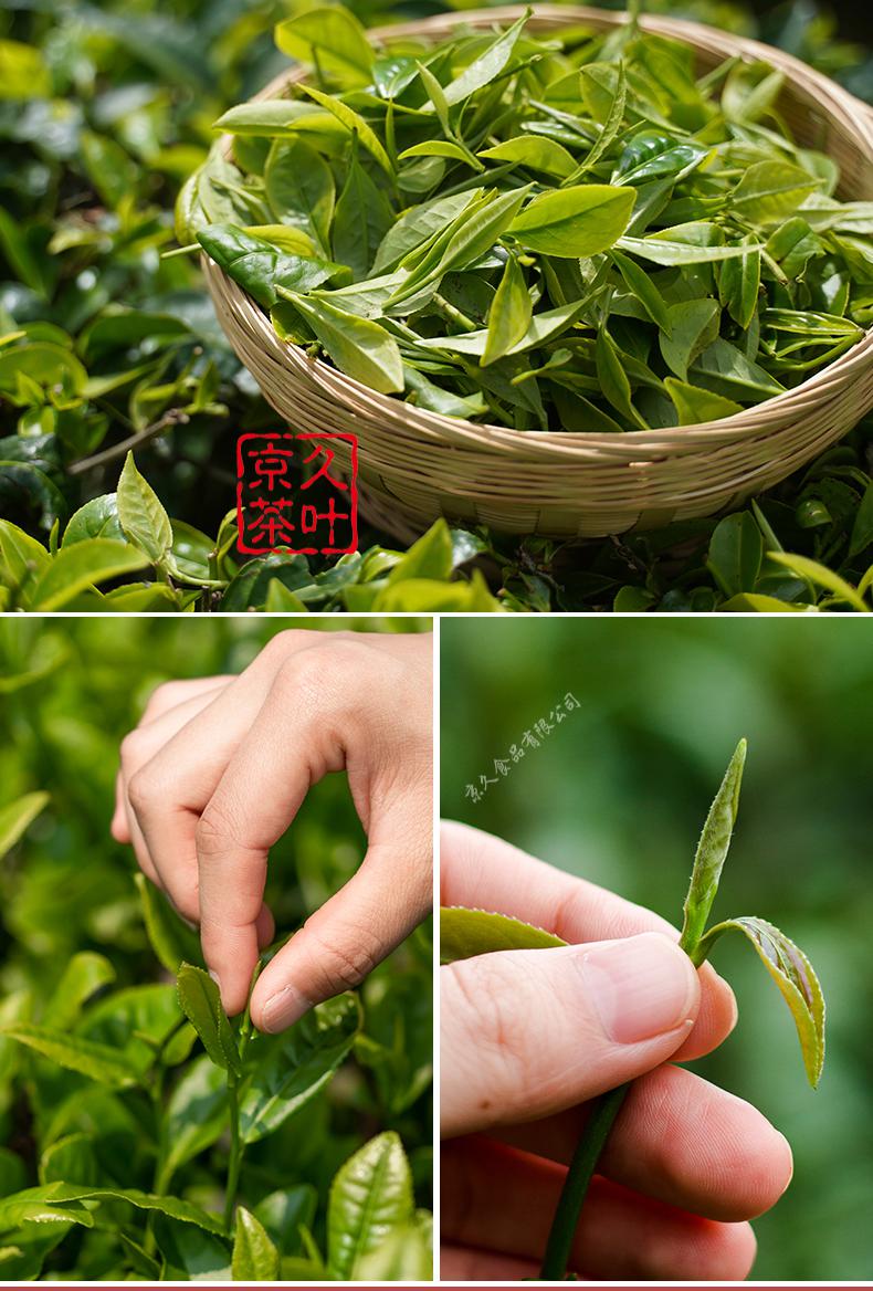 野栋碧螺春2021新茶叶级特浓香明前绿茶春茶嫩芽散装共500克