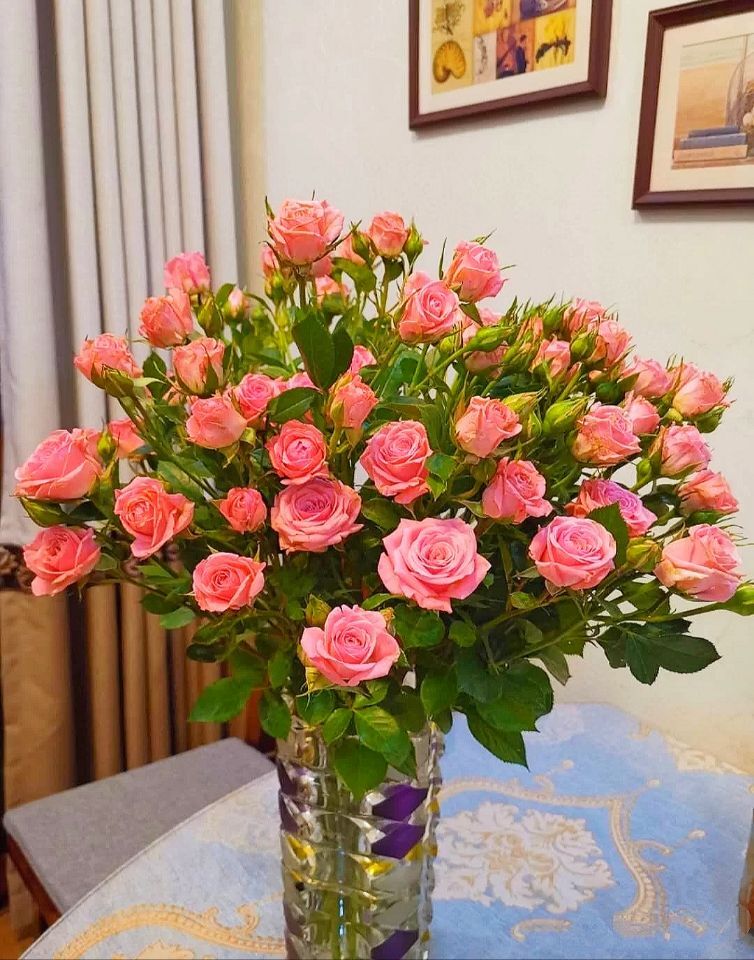 多头玫瑰蔷薇粉蝴蝶巧克力折射泡泡家庭生活用花瓶插云南鲜花巧克力十