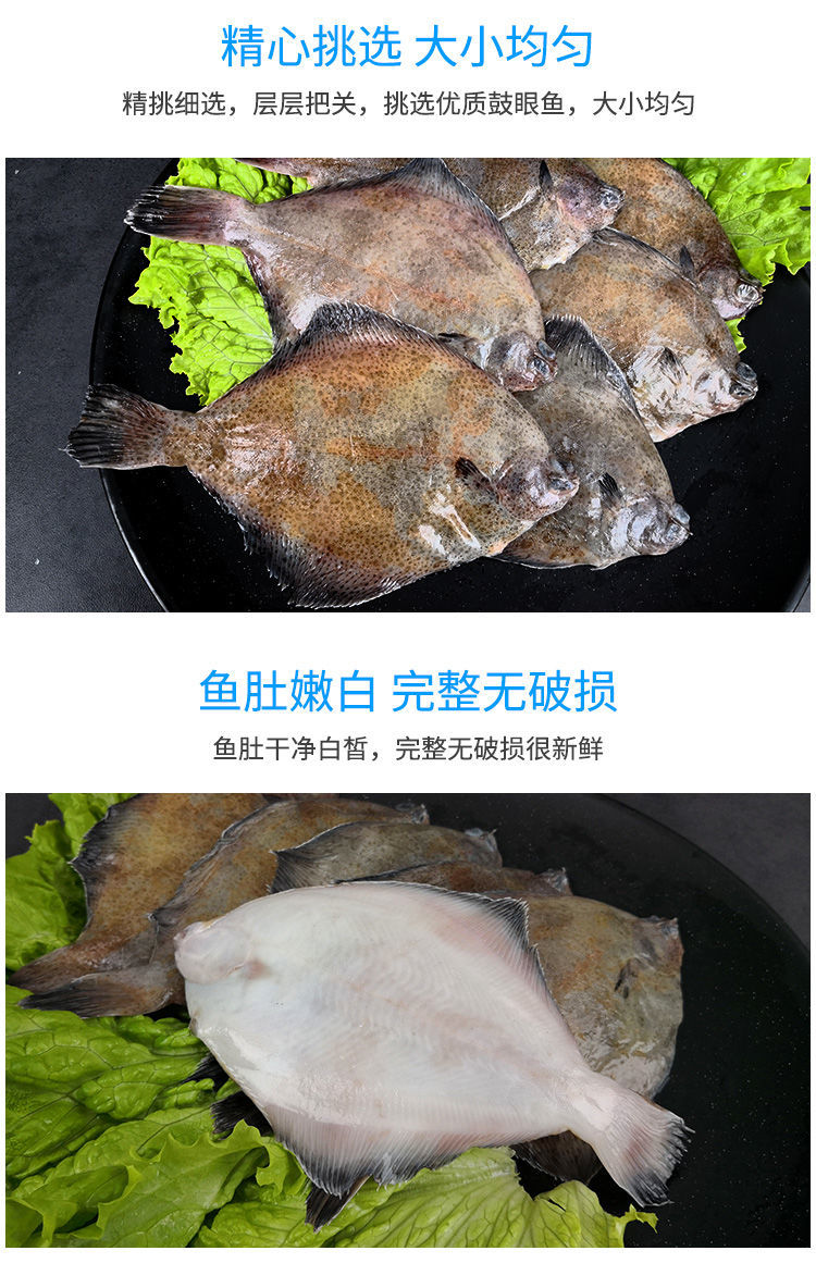 利妙财风鼓眼鱼青岛偏口鱼鲜活高眼鱼豆鼓鱼生鲜牙片鱼偏口鱼生鲜昌盛