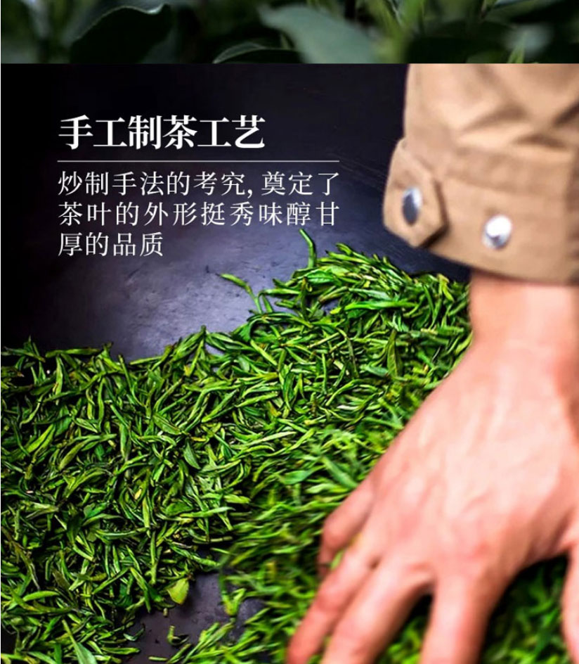 霄青竹2022明前头采级特手工茶鸠坑毛尖嫩芽千岛湖绿茶茶叶毛峰礼盒装