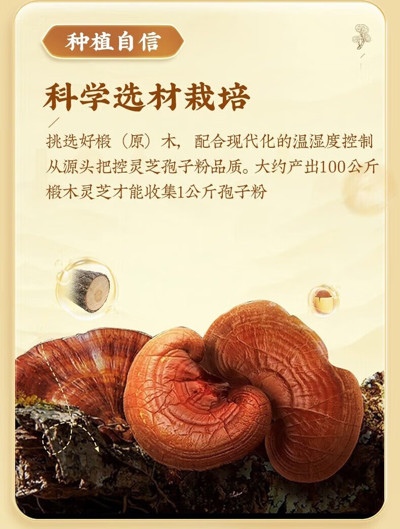 b6a0851bba55164e.jpg