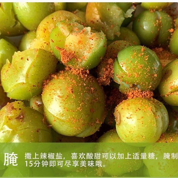 预售新鲜现摘李子水果酸李子三月李酸脆青李子当季整箱精选中果2斤酸