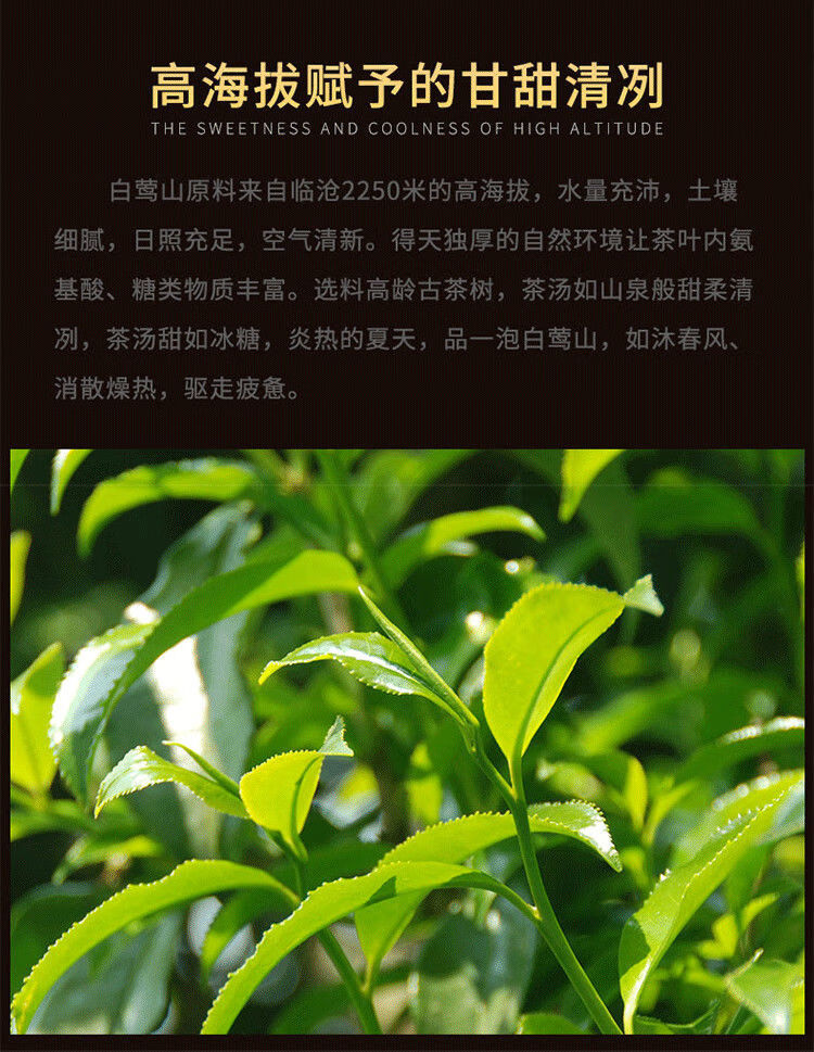 普洱茶生茶散茶云南临沧白莺山古树茶叶400g陈年普洱散装