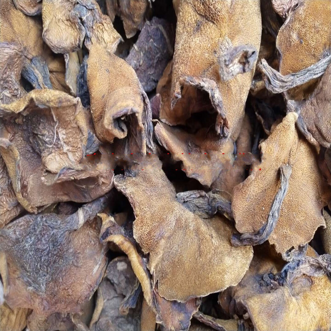 晨臻 山东野生新鲜松菇干货泰山菇蛾子松蛾子山娥子松蘑菇一斤 松蘑菇