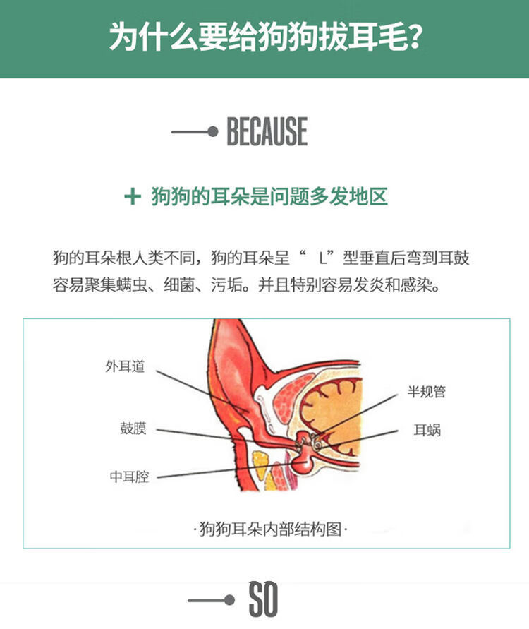 宠物拔耳毛粉无痛清洁耳屎狗狗比熊泰迪耳朵耳螨拔毛粉洁耳粉2瓶呵护