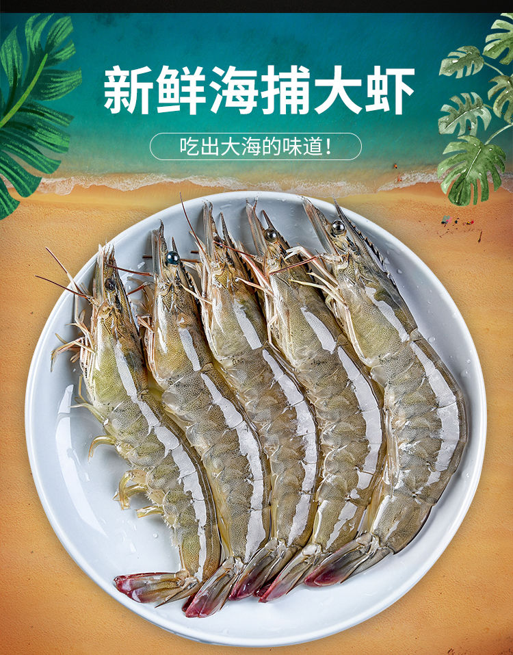 鲜活海鲜水产整箱冷冻速冻新鲜对虾青虾活虾 海鲜水产 3斤【图片 价格