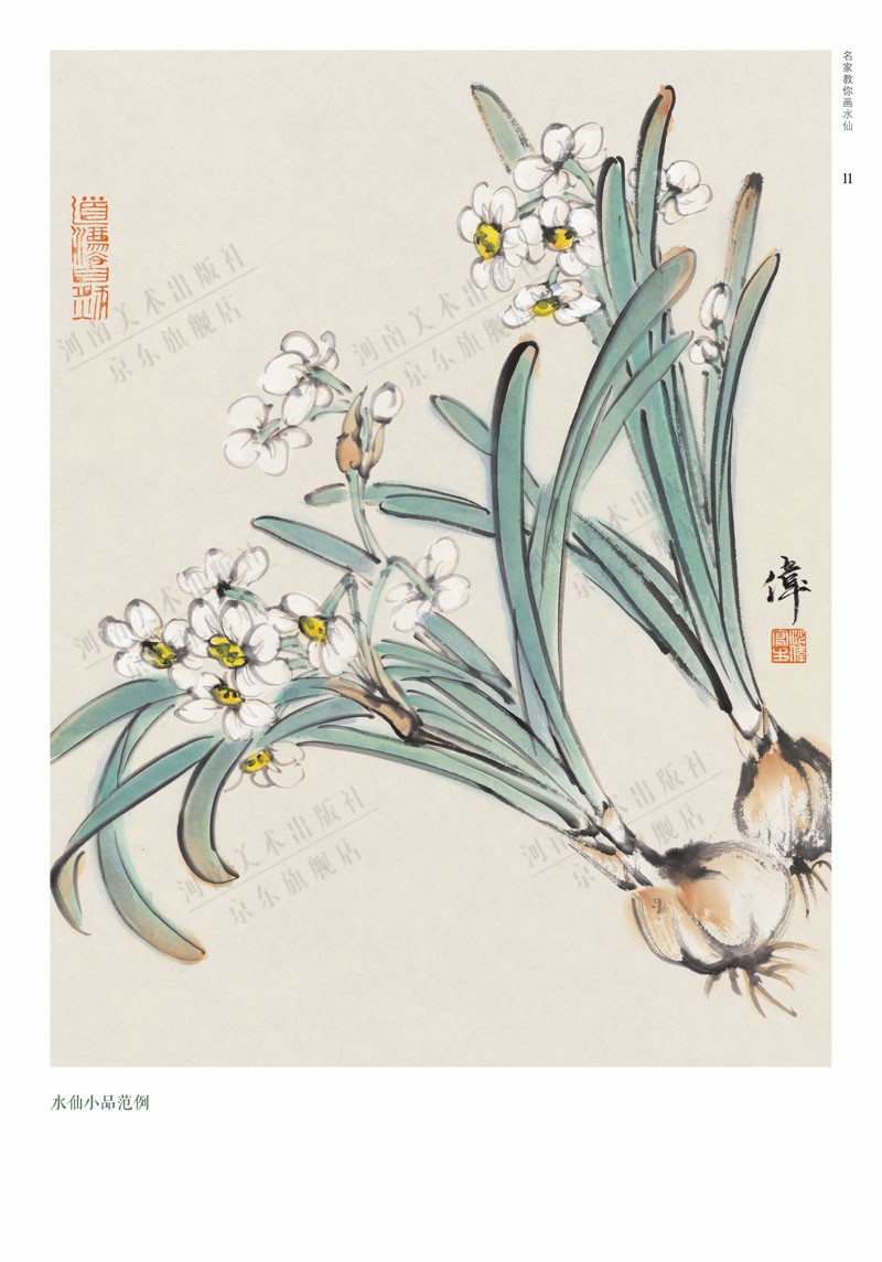 名家教你画水仙国画技法花卉画册国画入门书籍扫码看技法教学视频河南