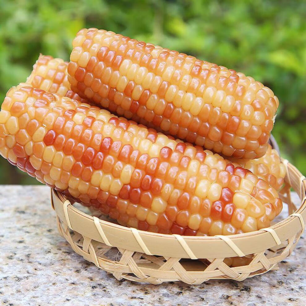 云南香糯小玉米糯玉米4斤 4斤普通装【图片 价格 品牌 报价】-京东