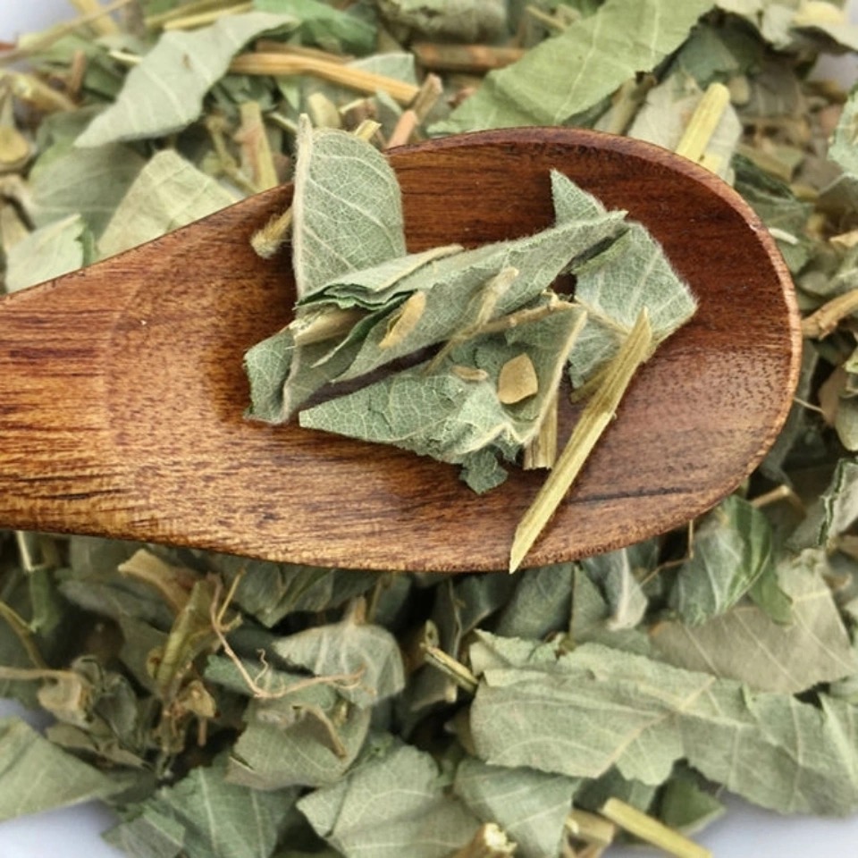 同仁堂金钱草 广西大叶金钱草 新鲜 新货 中草药草大叶【图片 价格