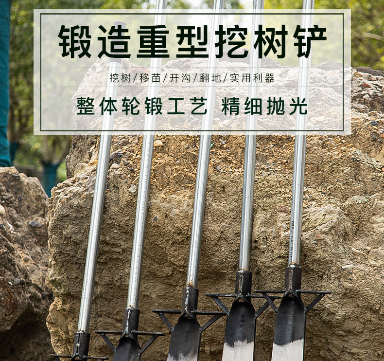 寶御安挖樹鏟子鐵鍬加厚錳鋼洛陽剷起樹根移苗挖土坑溝神器戶外挖洞