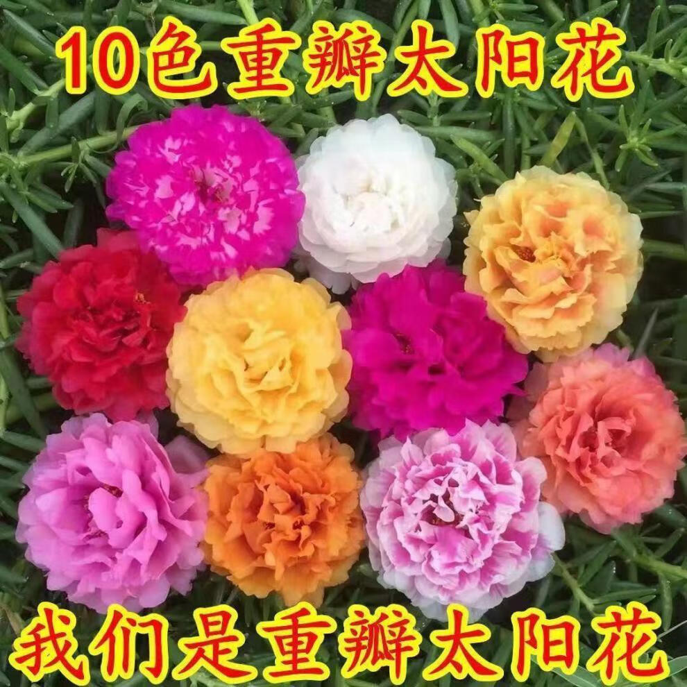 66585757810a1ff0.jpg