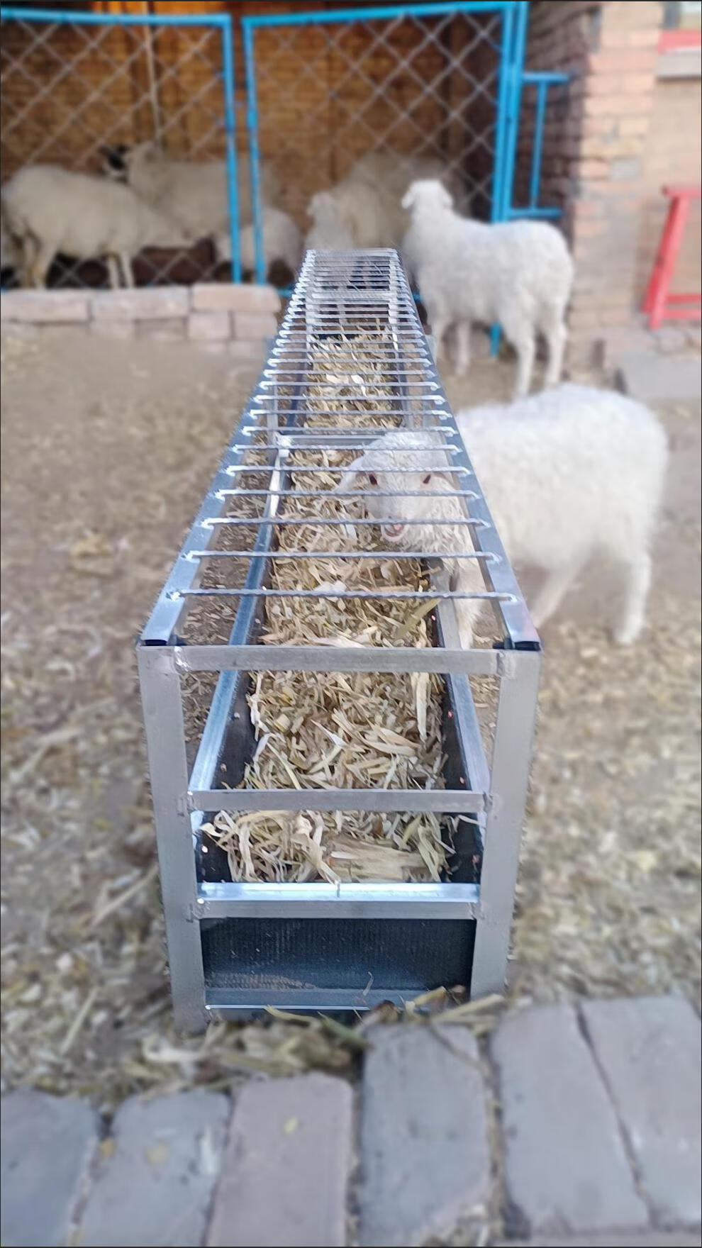 加厚牛羊槽橡胶输送带饮水喂料两用槽耐磨抗老化半成品皮带大号槽 3米