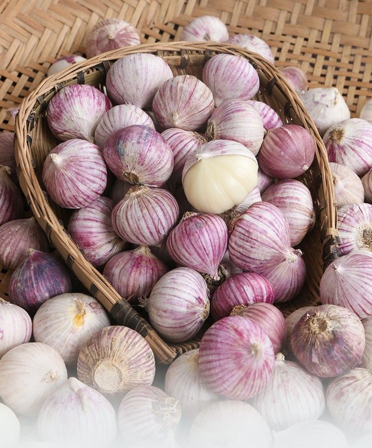 【现货现发】云南独头蒜紫皮独蒜大蒜头批发湿蒜腊八蔬菜 精品【中果