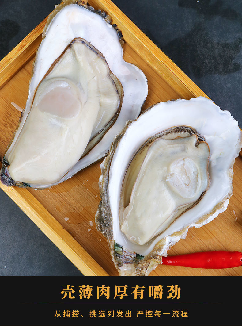 冷藏发货新鲜生蚝鲜活生蚝带壳海蛎子贝类海鲜水产十字丽日35只斤5斤