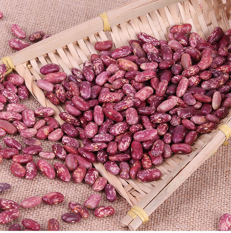 新豆5斤贵州花芸豆红饭豆腰豆紫花芸豆花红豆四季豆 花豆1斤