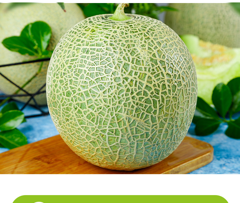 海南网纹哈密瓜玫珑网纹瓜当季新鲜水果顺丰京咚新鲜到家精美礼盒装现