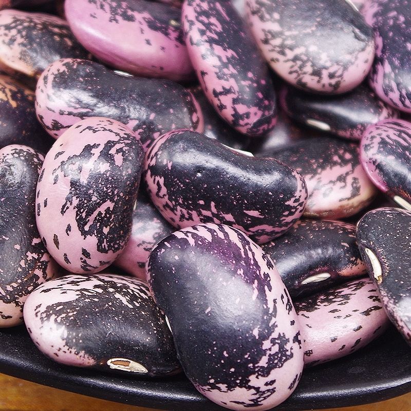 新货 大肾豆 大黑花芸豆子 牛眼豆 农家自种黑花芸豆豆类五谷杂粮 250