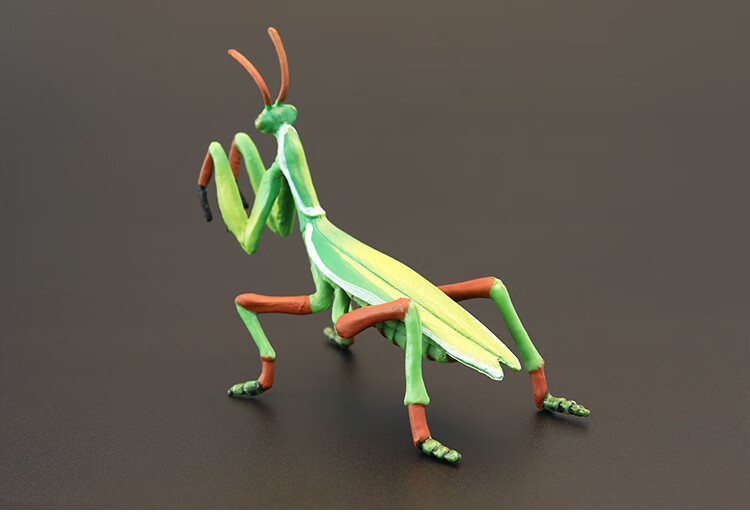 仿真兰花螳螂 实心昆虫玩具模型套装 螳螂 大刀螂 祷告虫 认知礼品