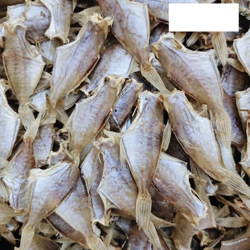 汕尾特產迪仔魚敵仔脯扒皮魚乾剝皮魚微鹹魚乾貨500g