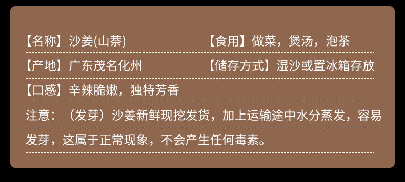 精選果蔬沙姜批發新鮮現挖廣東茂名特產山奈白切雞椰子雞調配料老薑可