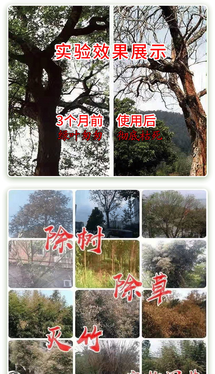 帆邦环嗪酮铜哃除草死树剂杀大树专用药剂竹子杀树王除灌木停车场荒地