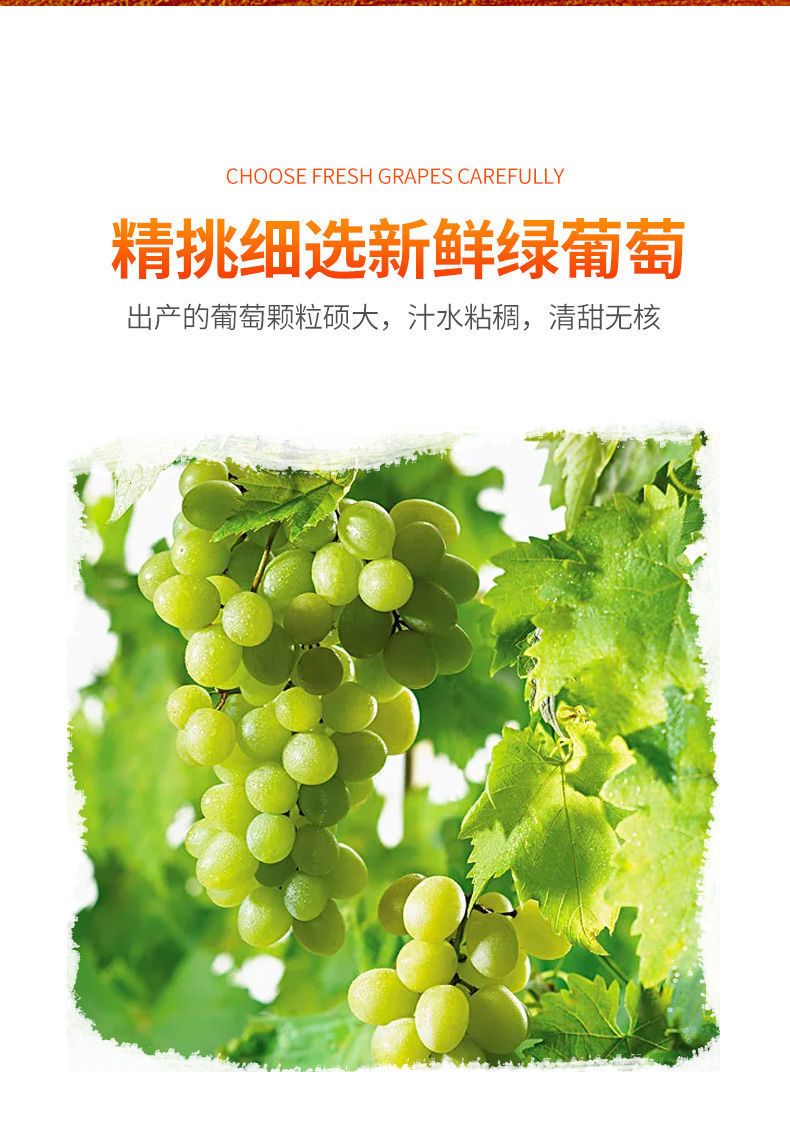 新疆特大萄萄干爽口香甜绿宝石无核免洗独立包装直销批发绿宝石葡萄干