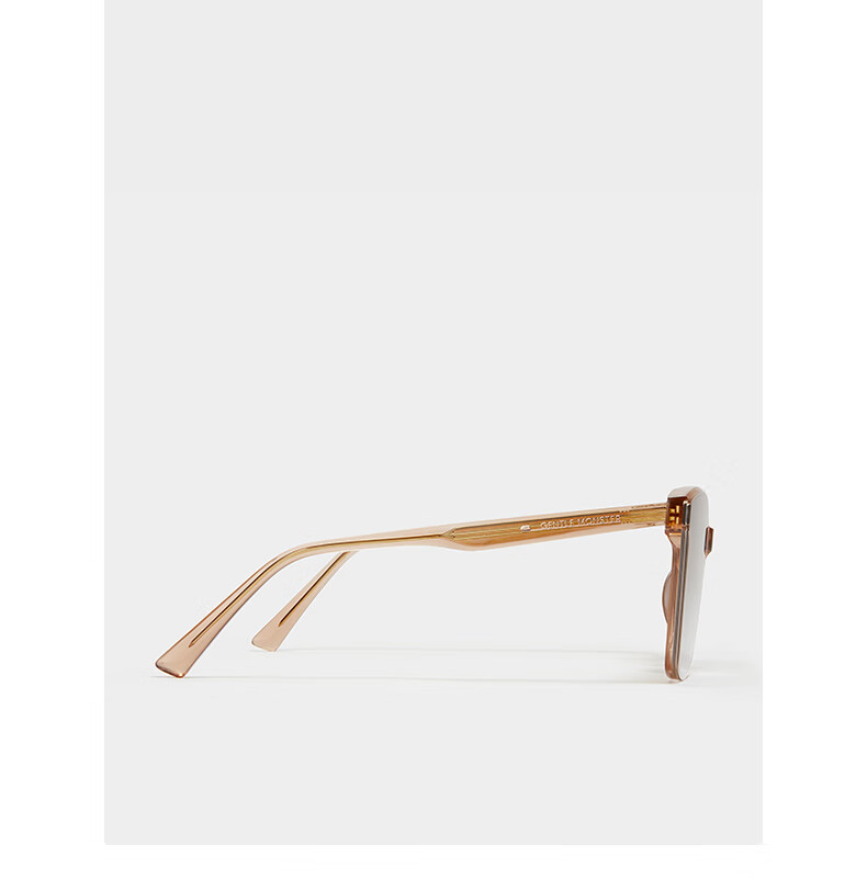 tega板材时尚墨镜太阳镜男女中性gentlemonsterg1