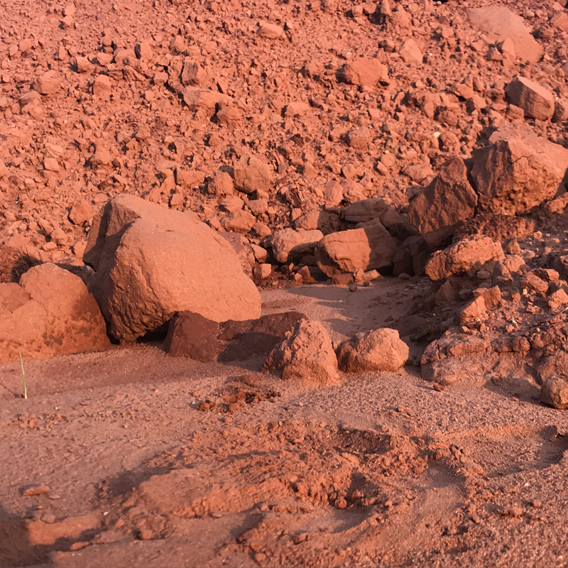 红土泥腌咸鸭蛋的红泥腌制黄土颗粒黄缘龟垫材种花叫花鸡专用泥