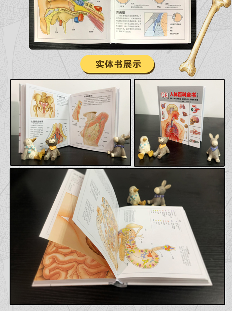 精装正版dk人体百科全书升级版揭秘我们的身体骨骼结构详解人体运转的