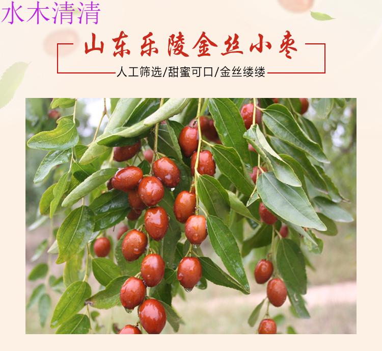 山东特产乐陵金丝小枣金丝枣小枣子甄饷独立包装红枣