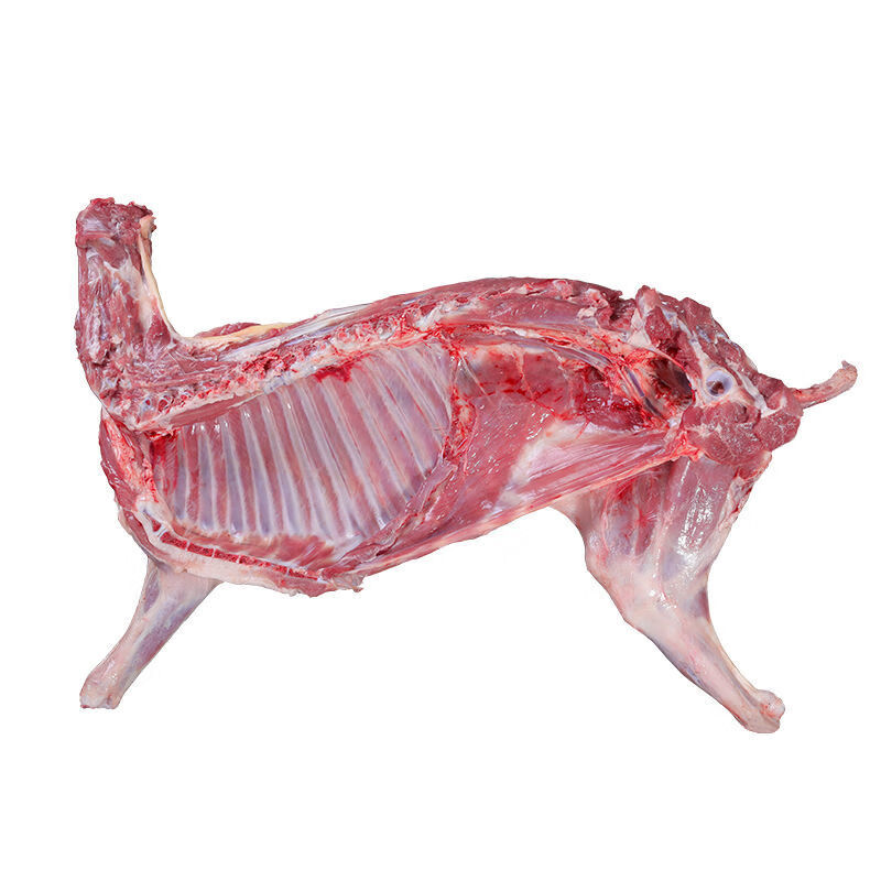 10斤新鲜国产半只羊肉生羊排羊腿羊蝎子烧烤食材3斤山东羊肉11斤整发