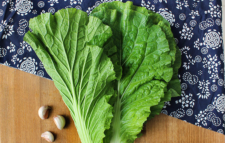 老农夫 打饭包东北白菜叶子新鲜大白菜叶农家蔬菜包饭包菜叶子蘸酱菜