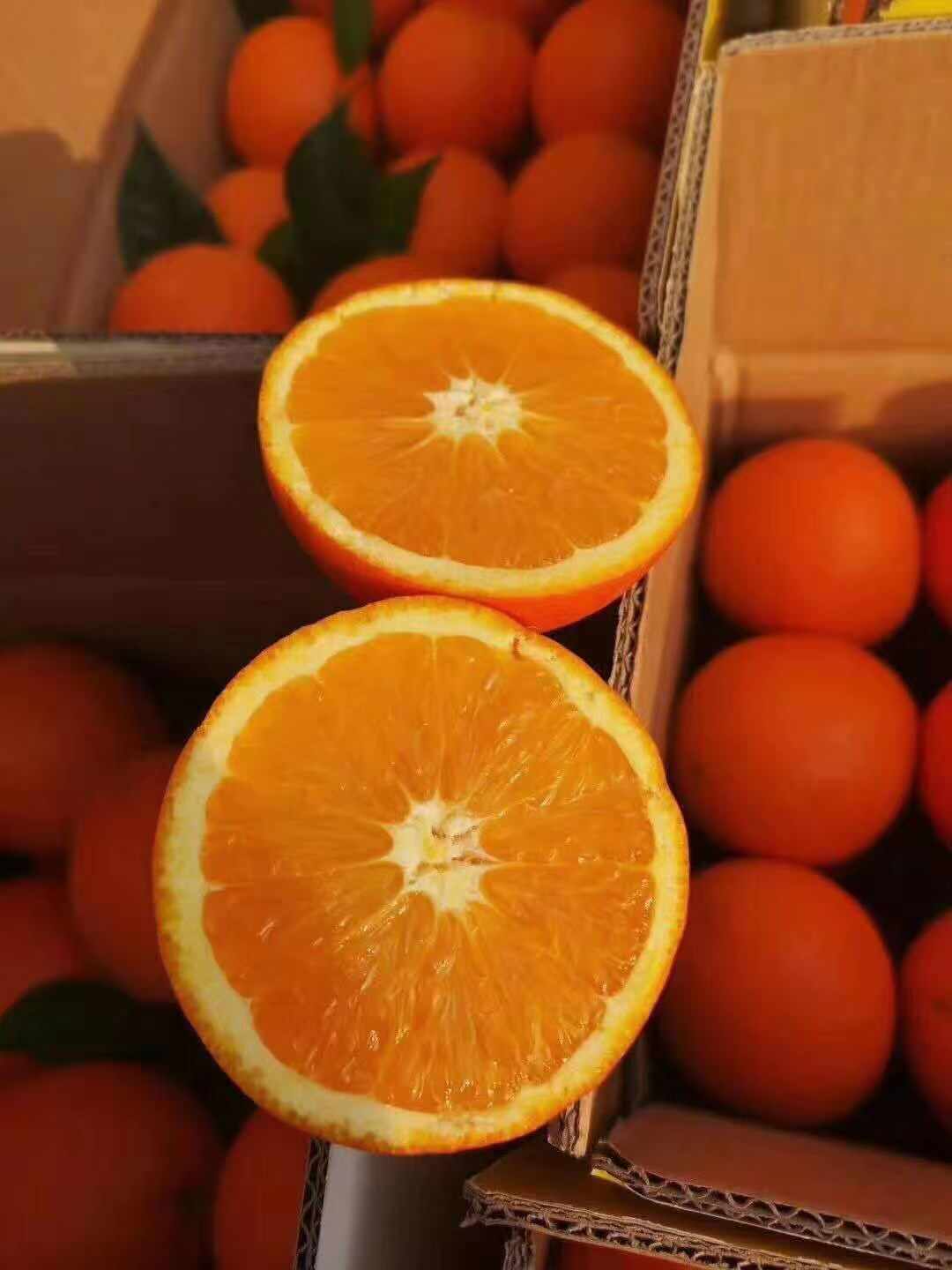 顺丰直达正宗重庆奉节脐橙当季福本水果新鲜20斤现摘现发多汁超甜手剥