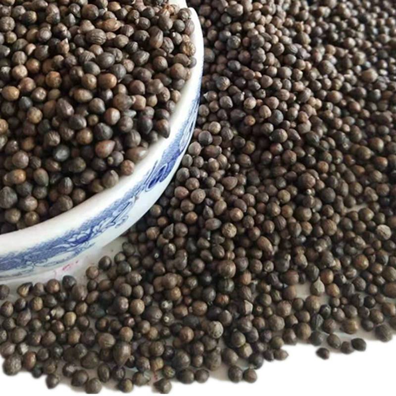 黄荆子枕头布惊仁野生布惊子布惊仁布惊籽仁布惊子仁枕头黄荆籽黄荆子