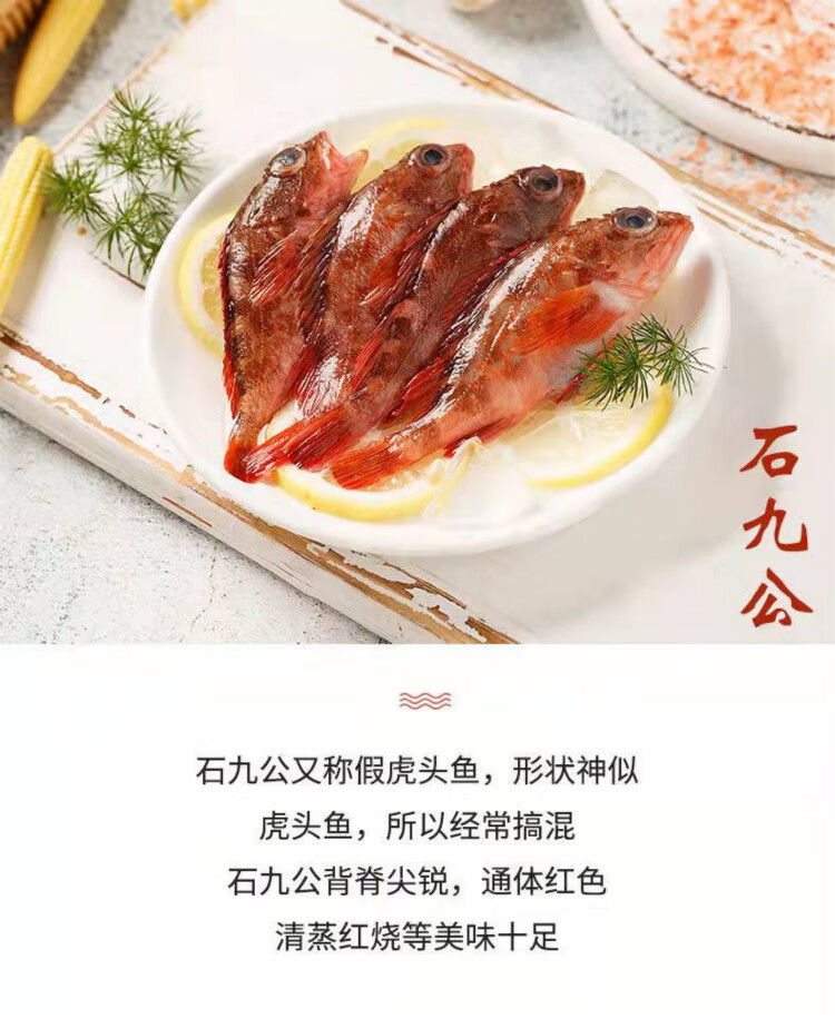 流连湾 新鲜石九公鱼石翁鱼野外鲜活虎头鱼小红斑鱼新鲜海鲜水产补钙