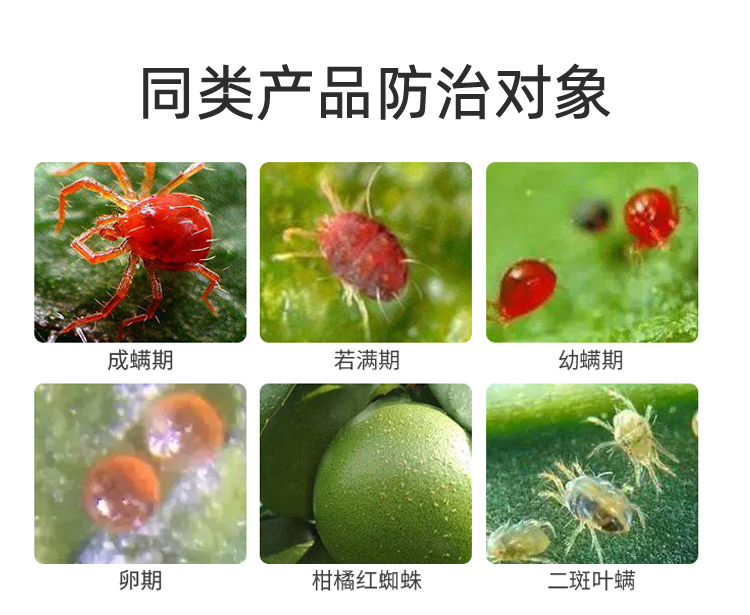 阿维螺螨酯白红蜘蛛专用药柑橘花卉蔬菜瓜果树农用药高效杀螨虫剂
