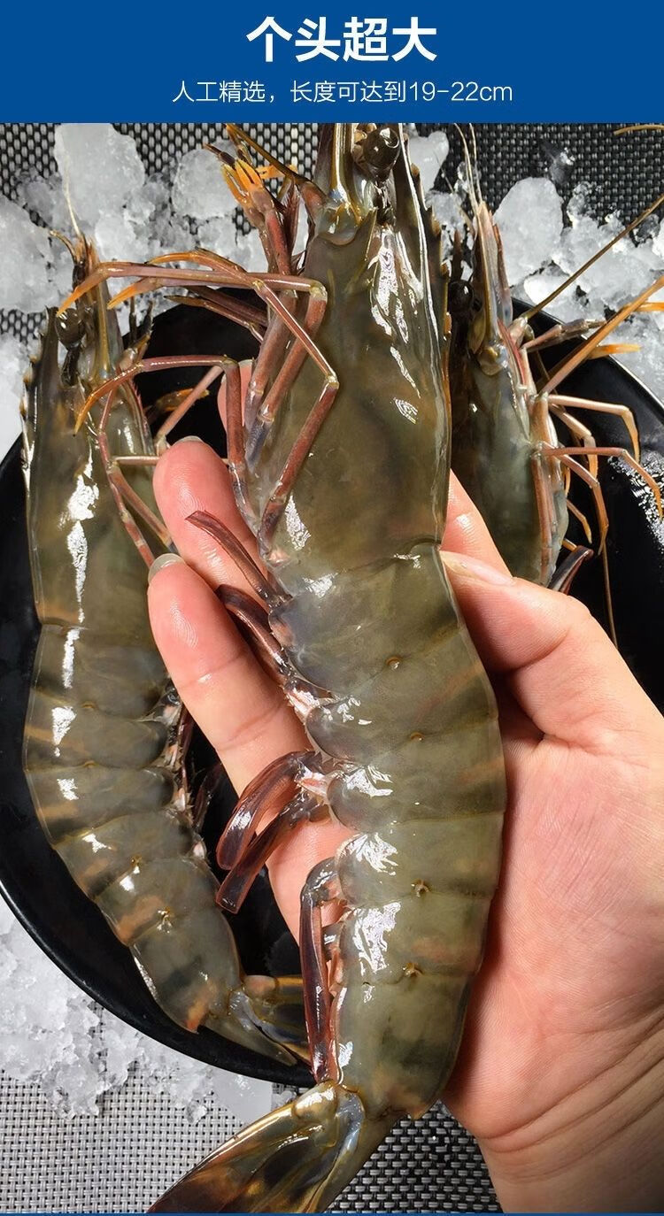 海捕黑虎虾新鲜红爪虾超大鲜活海虾水产速冻佑达嘉怡红爪虎虾2斤每斤
