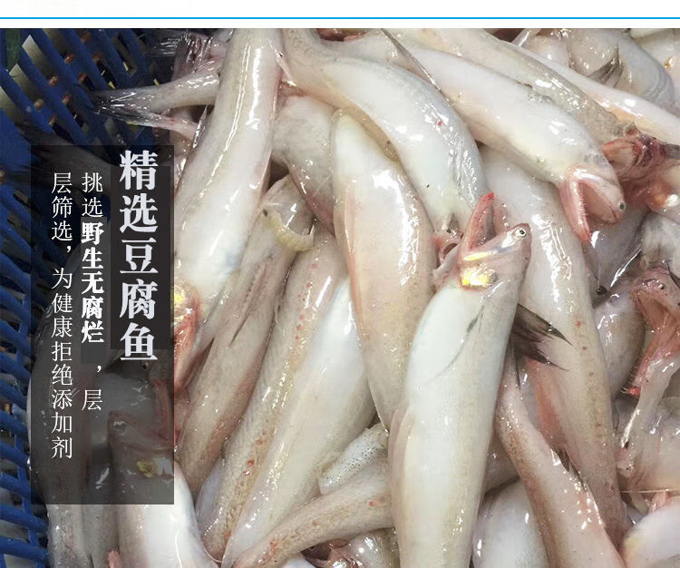 舟山龙头鱼新鲜鲜活九肚鱼冷冻丝丁鱼水潺豆腐鱼海鲜鲜鱼水产2斤3斤装