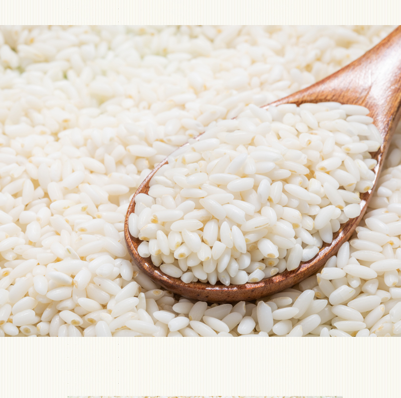 新疆羊脂籽米 500g 沙垦庄园沙漠大米香米试吃装小包装生态新米粳米