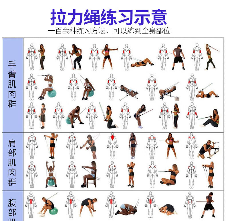 拉力带的26个训练方法图片