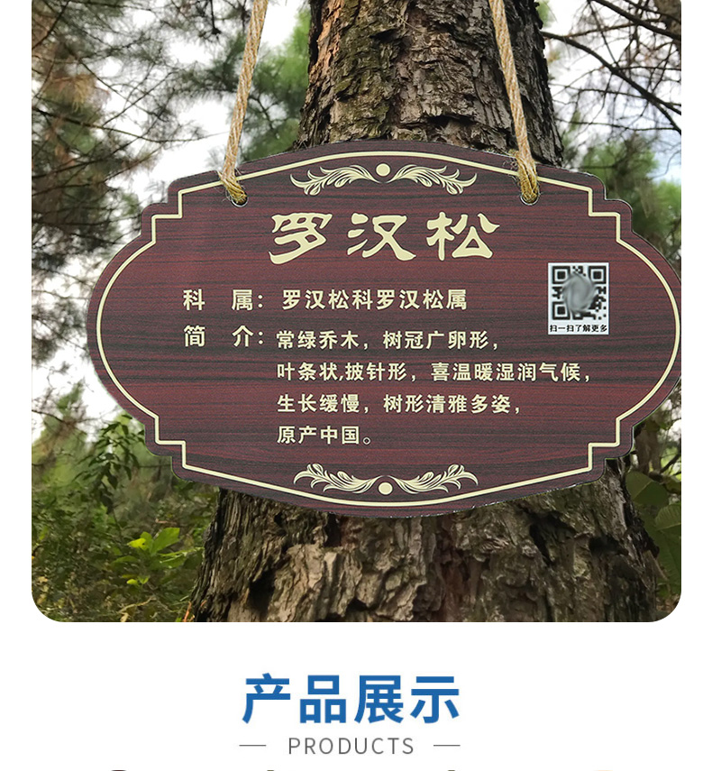 树牌挂牌学校公园不锈钢插地牌子植物绿化信息牌铭牌树木介绍标识牌