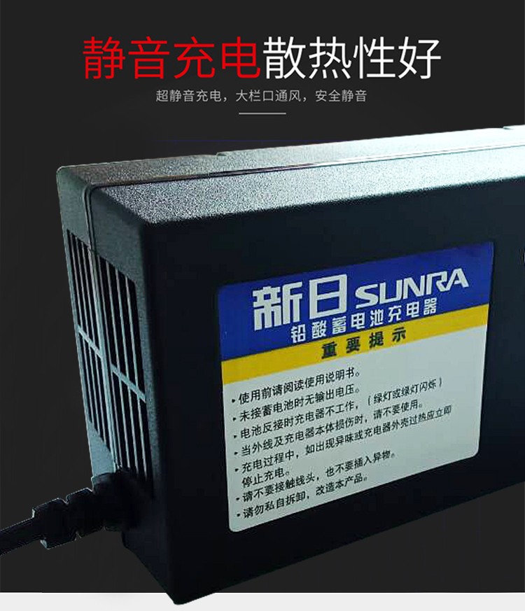 新日原装电动车电瓶充电器新国标原厂脉冲 新日60v12ah t型三孔【图片